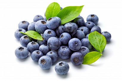 Blueberry Fresh Type